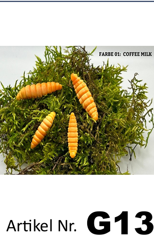 🎣 VS Maden – Ørredagn