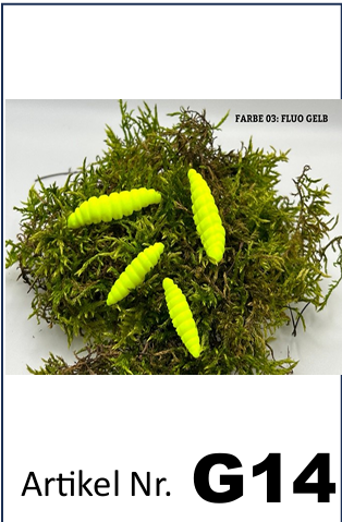 🎣 VS Maden – Ørredagn