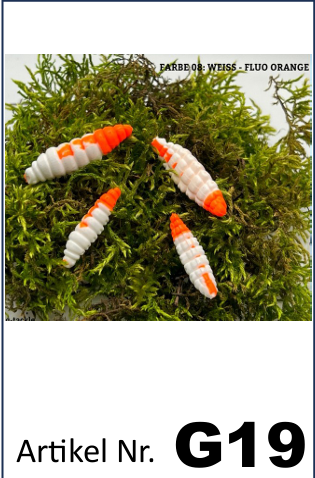 🎣 VS Maden – Ørredagn