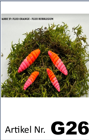 🎣 VS Maden – Ørredagn